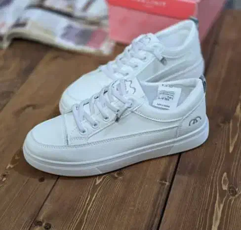 کفش|کیف، کفش، کمربند|یاسوج, |دیوار