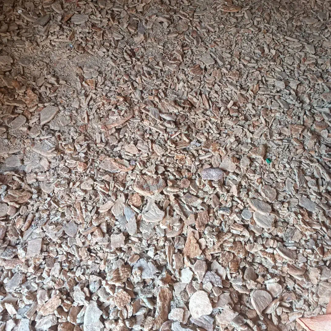 نان خشک|لوازم جانبی حیوانات|تربت جام, جلگه موسی آباد|دیوار