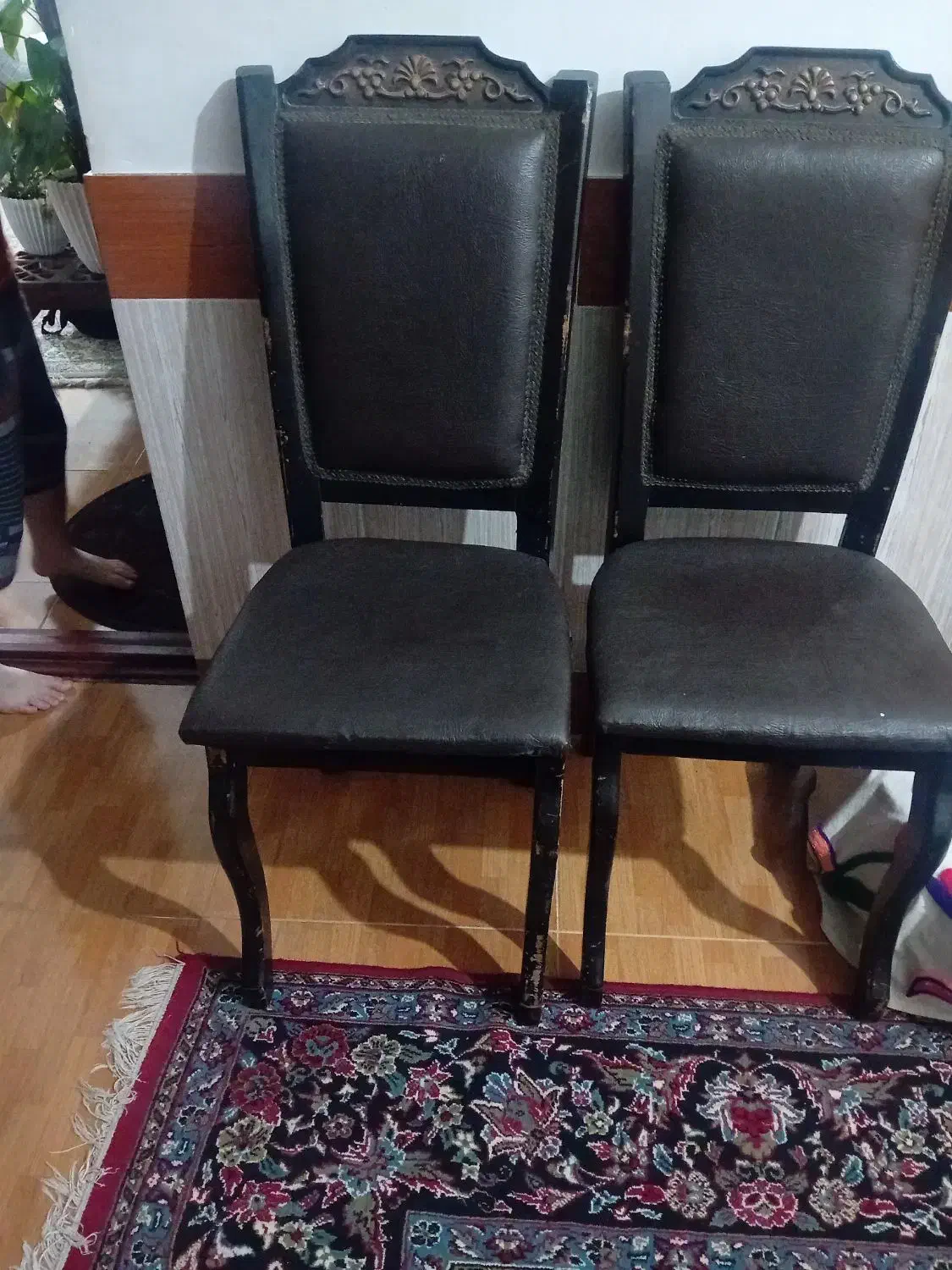 دو عدد صندلی|میز و صندلی غذاخوری|بهشهر, |دیوار