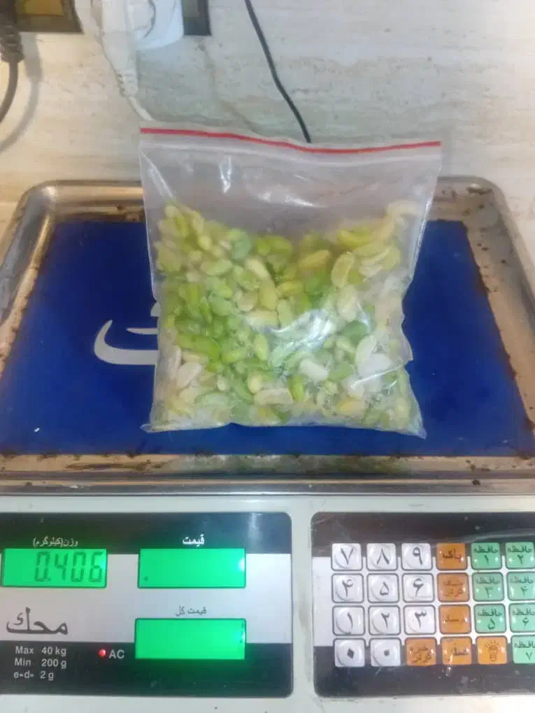 محصولات خانگی مطهر بابهترین کیفیت درخدمت شماست|خوردنی و آشامیدنی|رشت, پیرکلاچای|دیوار