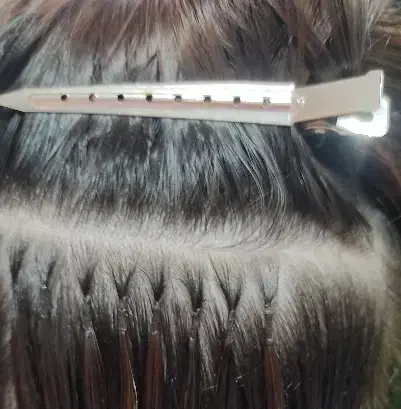 موی طبیعی|آرایشی، بهداشتی، درمانی|فولادشهر, C3|دیوار