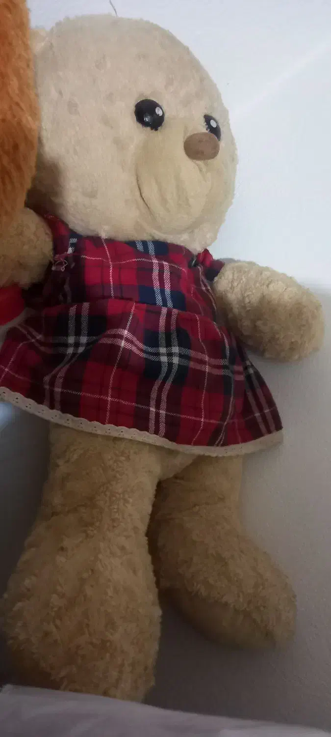 عروسک نونو|اسباب‌بازی بچه|شیراز, شهرک قمشه|دیوار