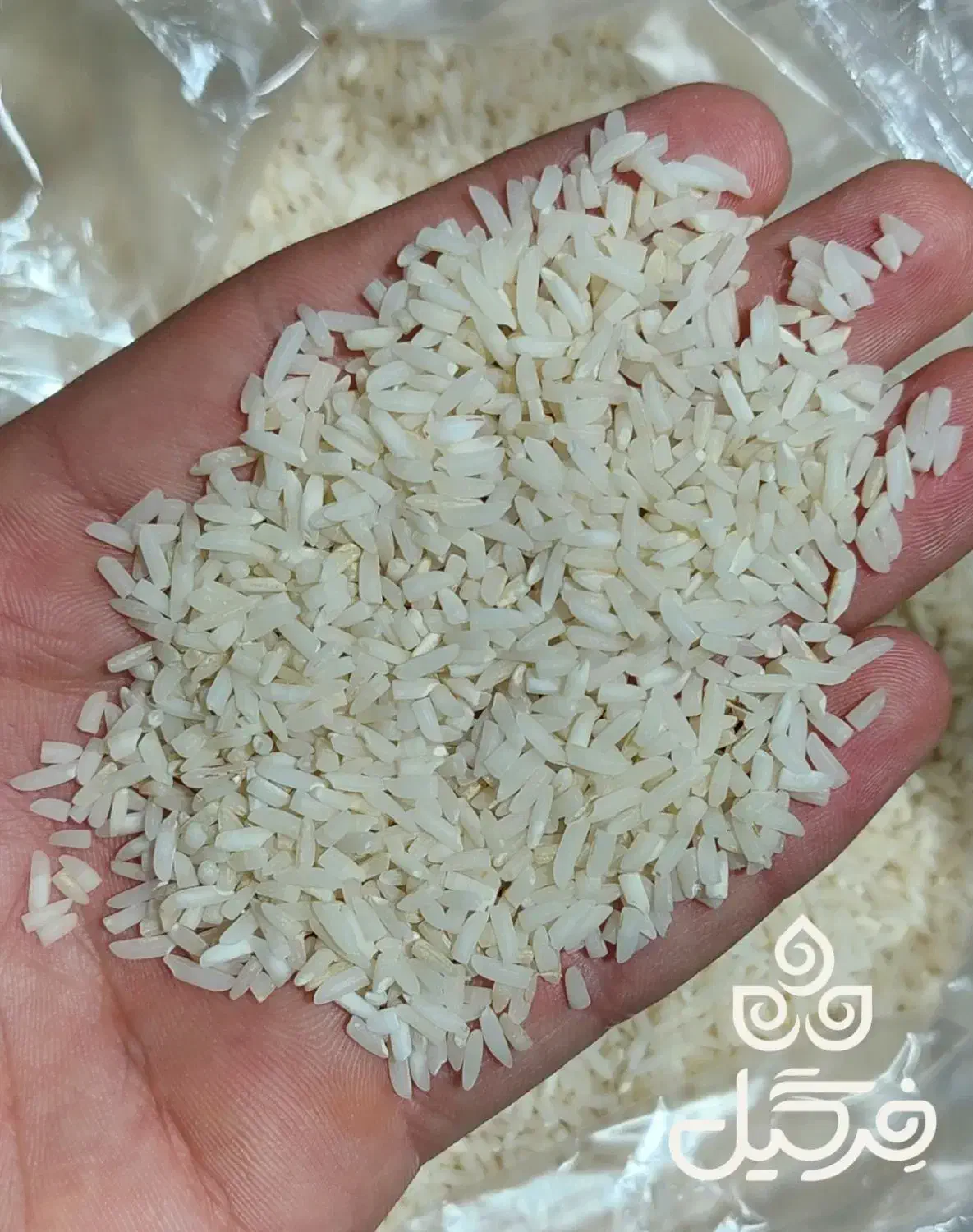 برنج هاشمی|خوردنی و آشامیدنی|هشتگرد, گلسار|دیوار