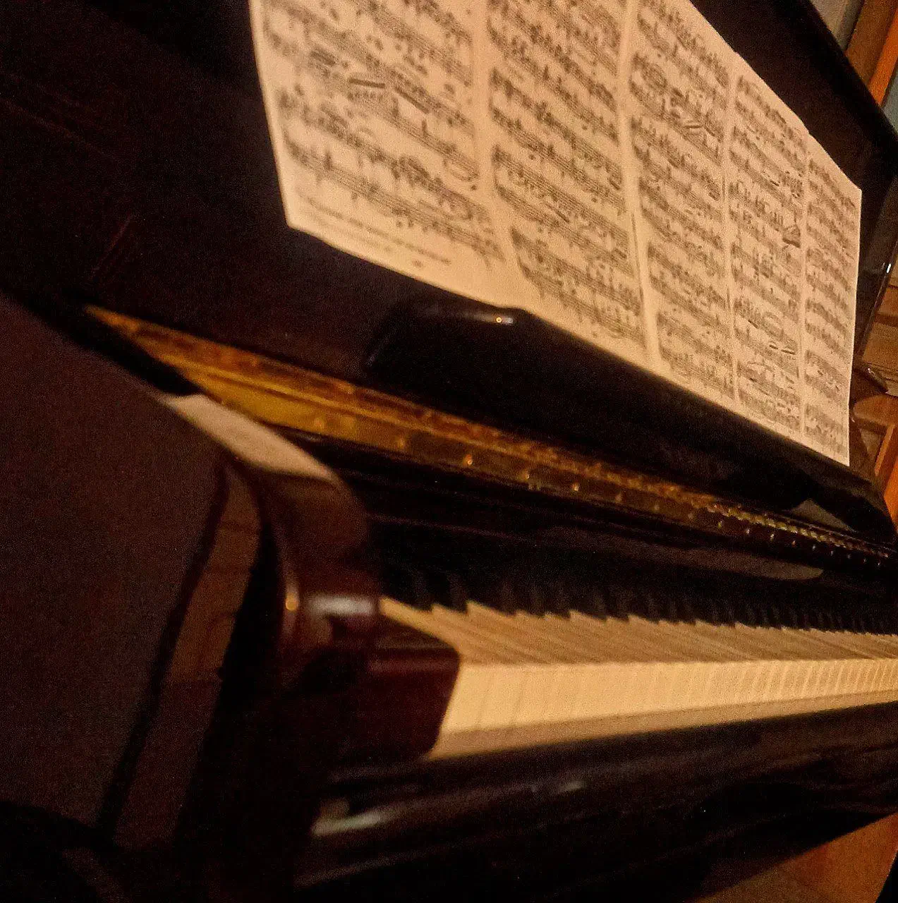 آموزش پیانو و سلفژ (خصوصی)|خدمات آموزشی|شیراز, بریجستون|دیوار