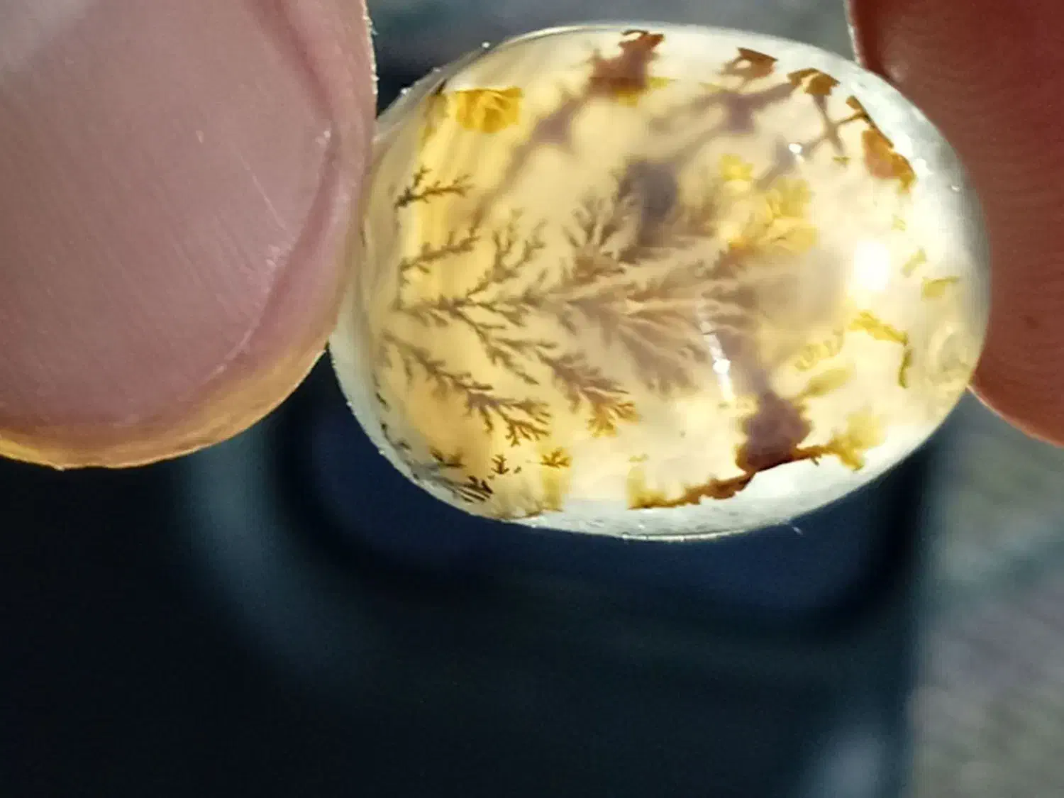 نگین شجرقائن|زیورآلات و اکسسوری|تربتحیدریه, طالقانی|دیوار