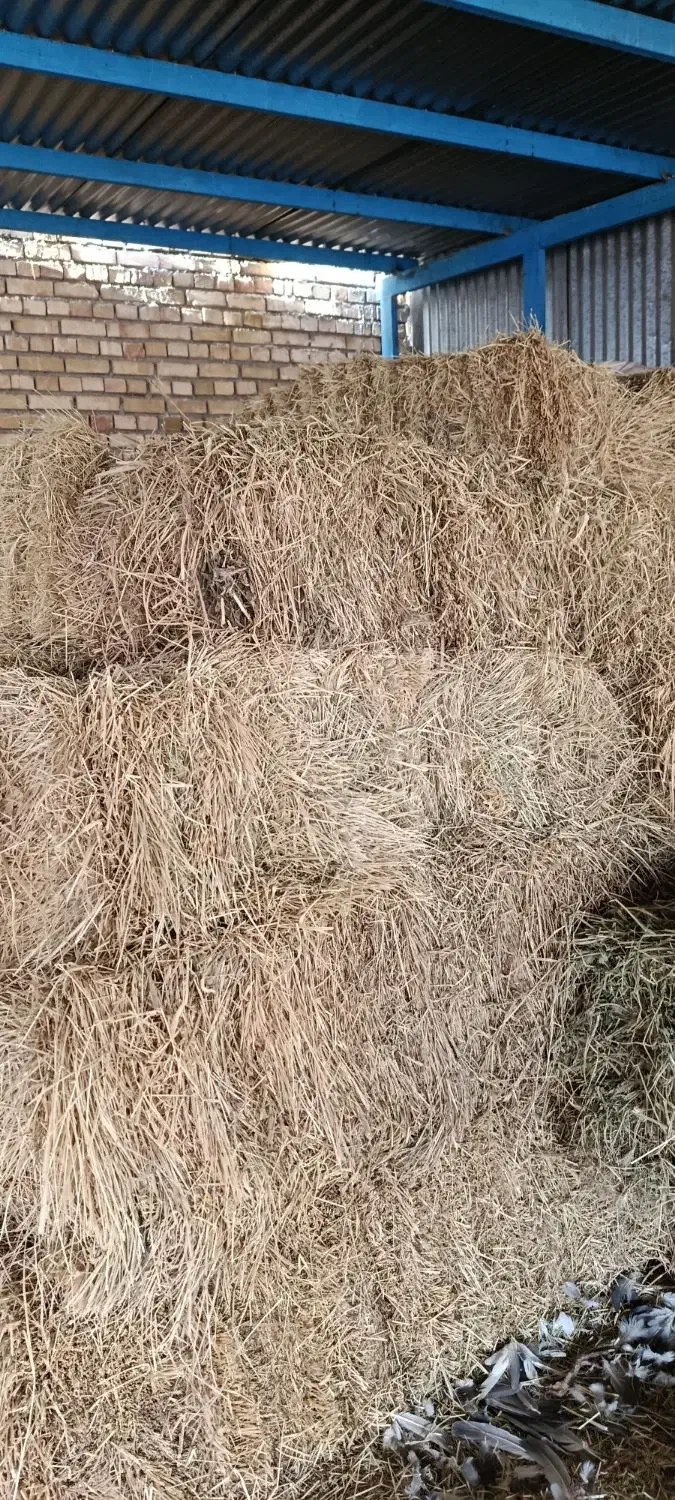 یونجه|لوازم جانبی حیوانات|لالجین, |دیوار