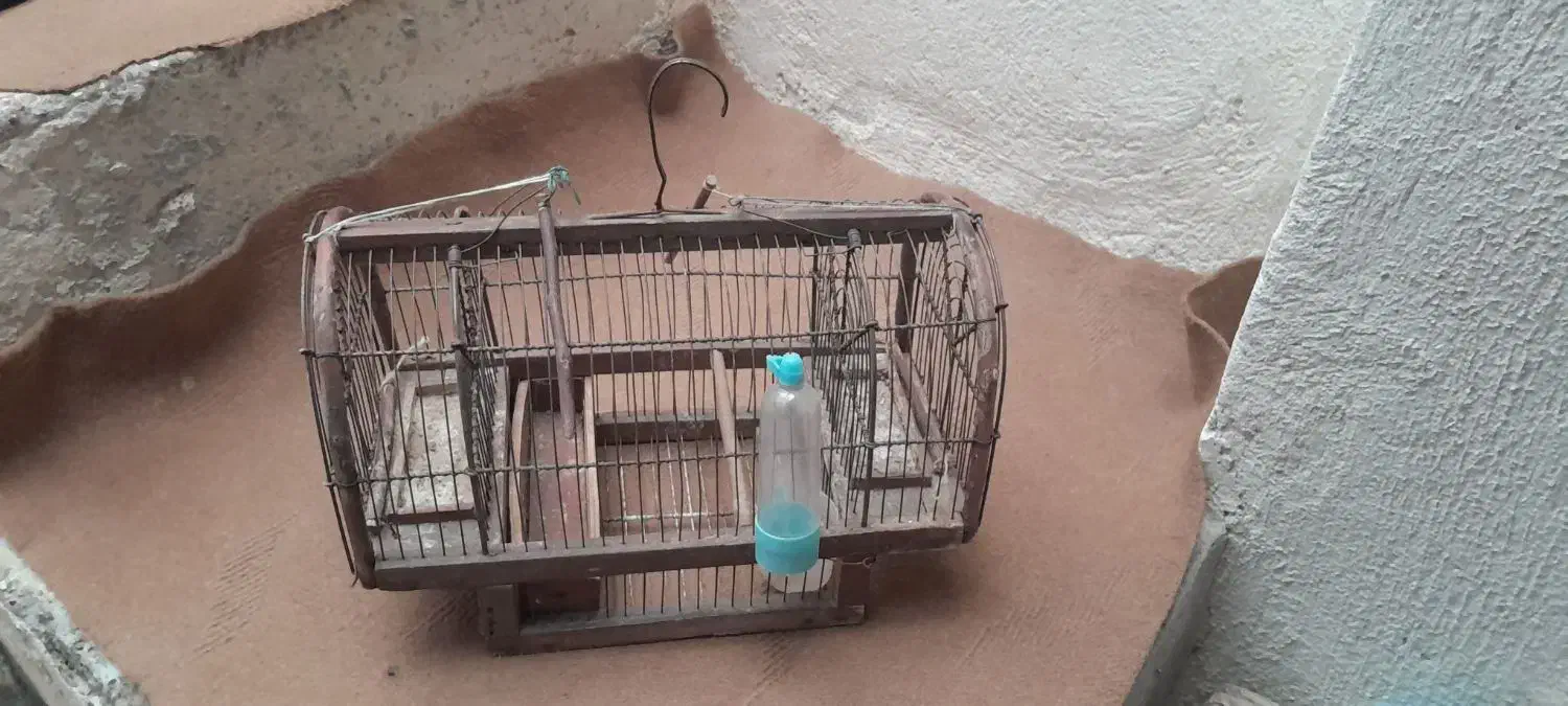 قفس شکاری|لوازم جانبی حیوانات|سنندج, |دیوار