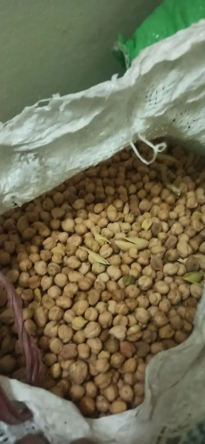 نخود|خوردنی و آشامیدنی|سلطانیه, |دیوار
