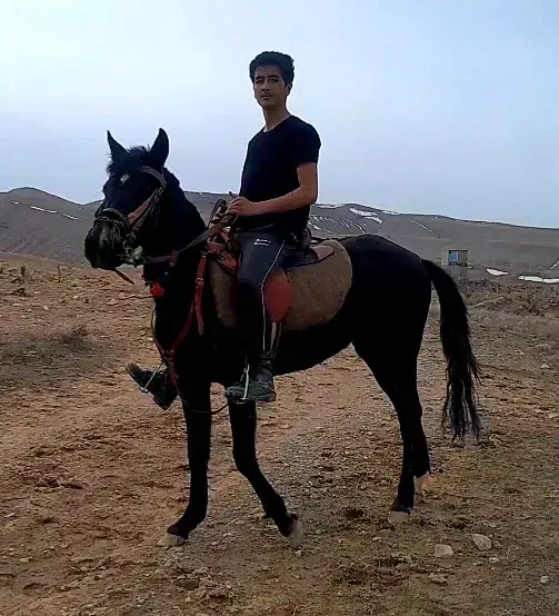 اسب|اسب و تجهیزات اسب‌سواری|قوچان, |دیوار