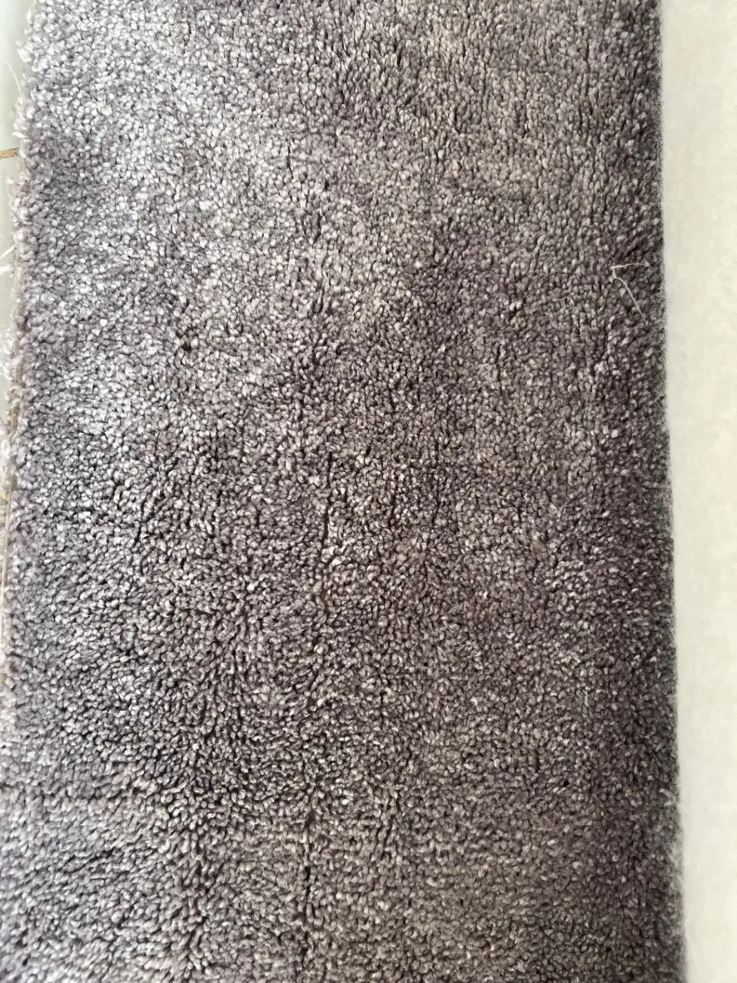 پالاز موکت|موکت|گرمسار, |دیوار