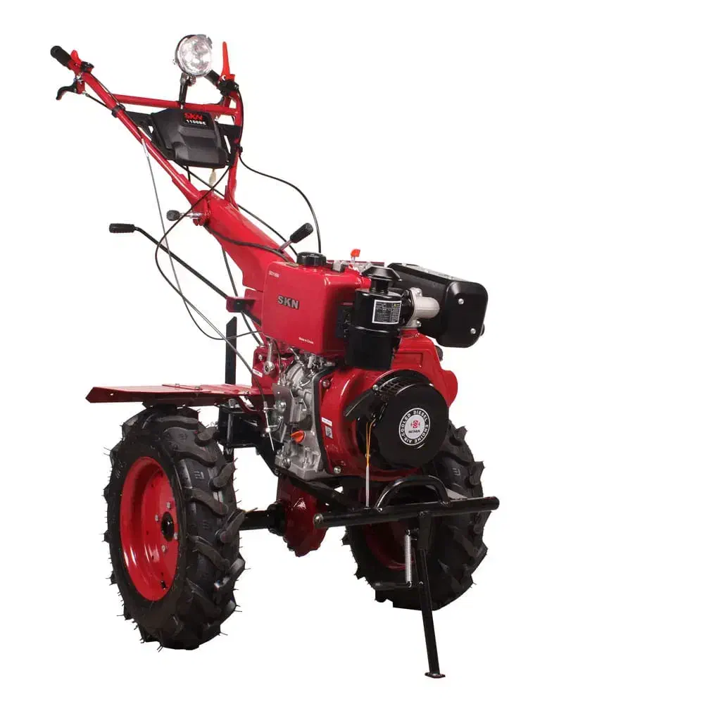 تیلرزنی|گل و گیاه طبیعی|مشهد, قائم|دیوار