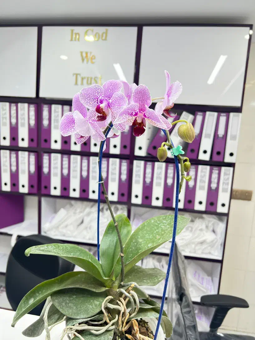 منشی خانم پذیرش کلینیک لیزر شیفت عصر|استخدام درمانی، زیبایی، بهداشتی|پاکدشت, پاکدشت (مامازند)|دیوار