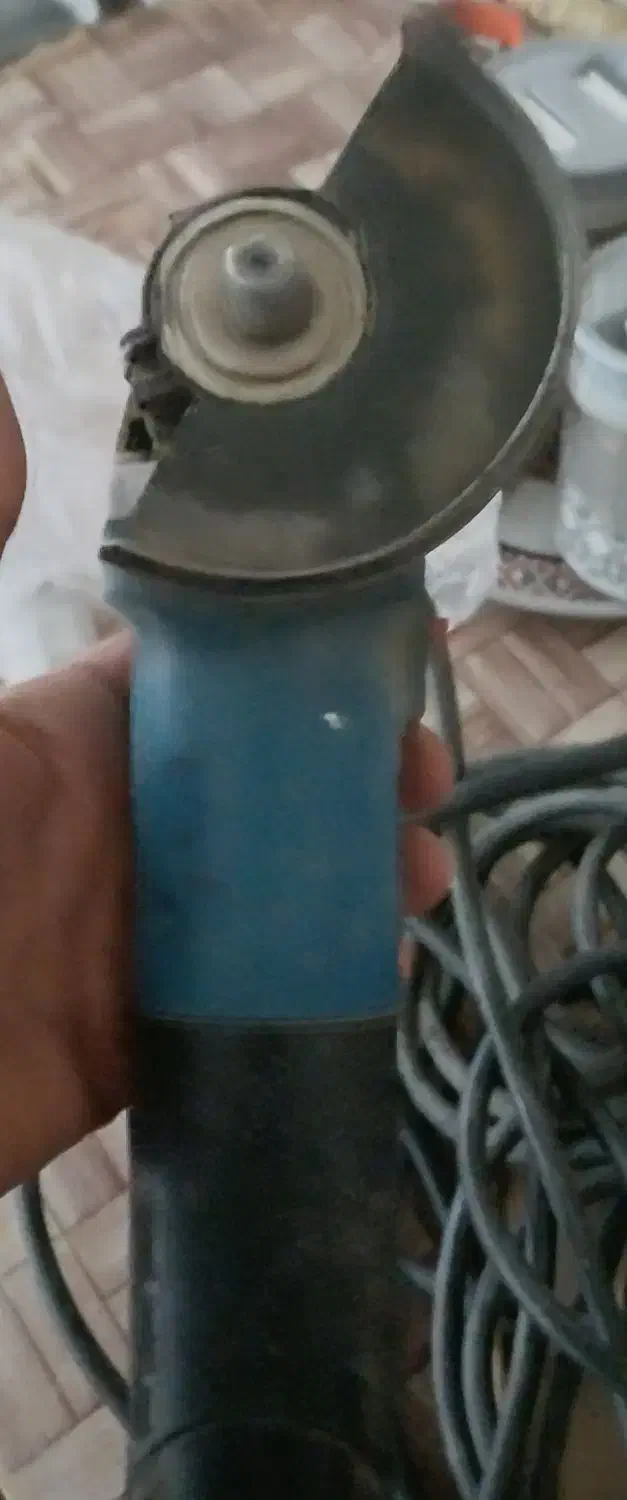 مینی فرس سالم|گربه|یزد, |دیوار