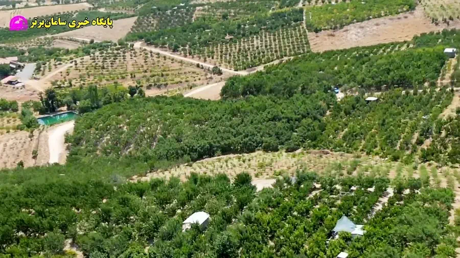 فروش باغ روستا ی دشتی|فروش دفتر صنعتی، کشاورزی، تجاری|زاینده رود, |دیوار