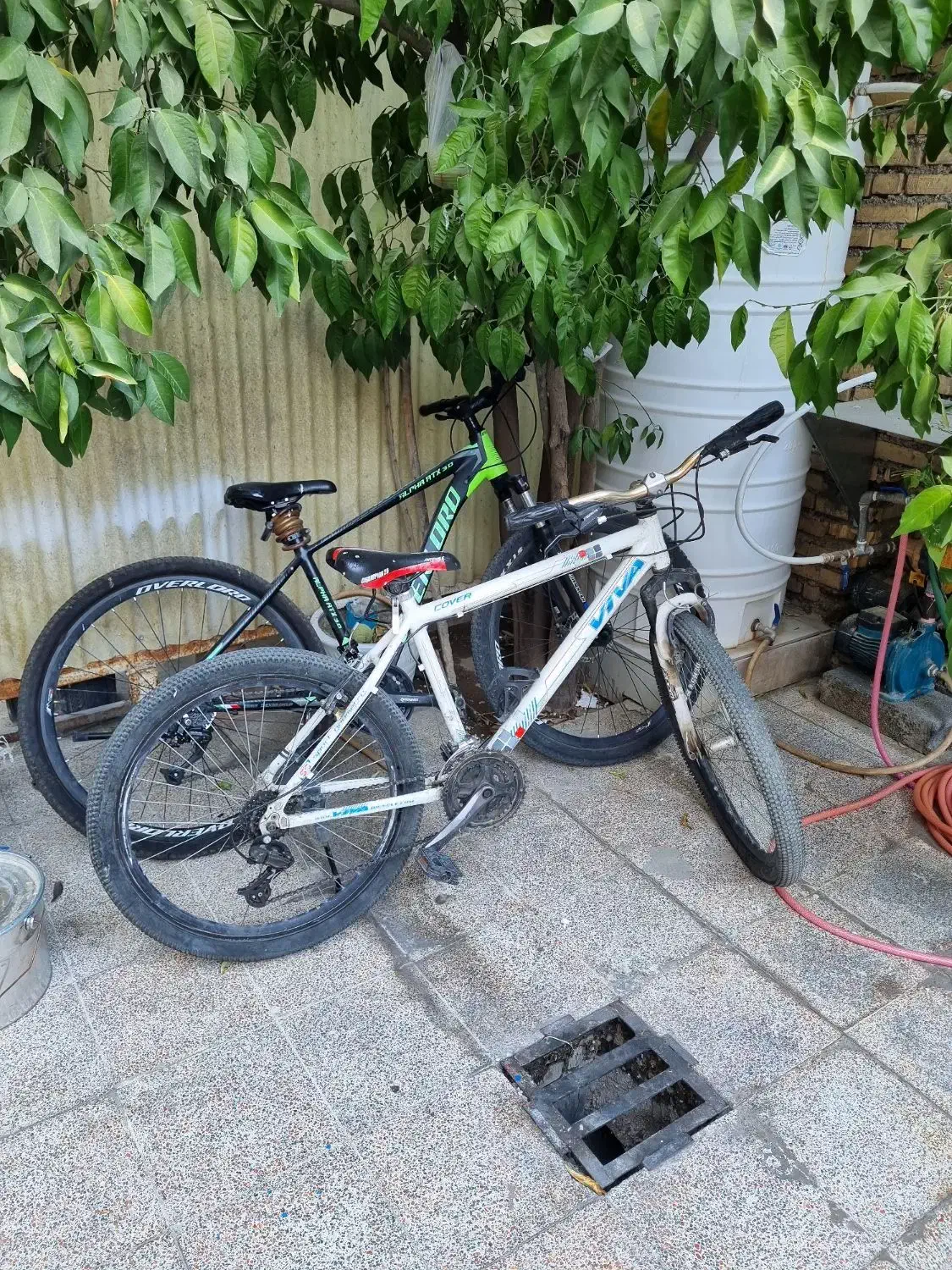 دوچرخه ۲۶ ویوا اصلی|دوچرخه، اسکیت، اسکوتر|ایذه, |دیوار