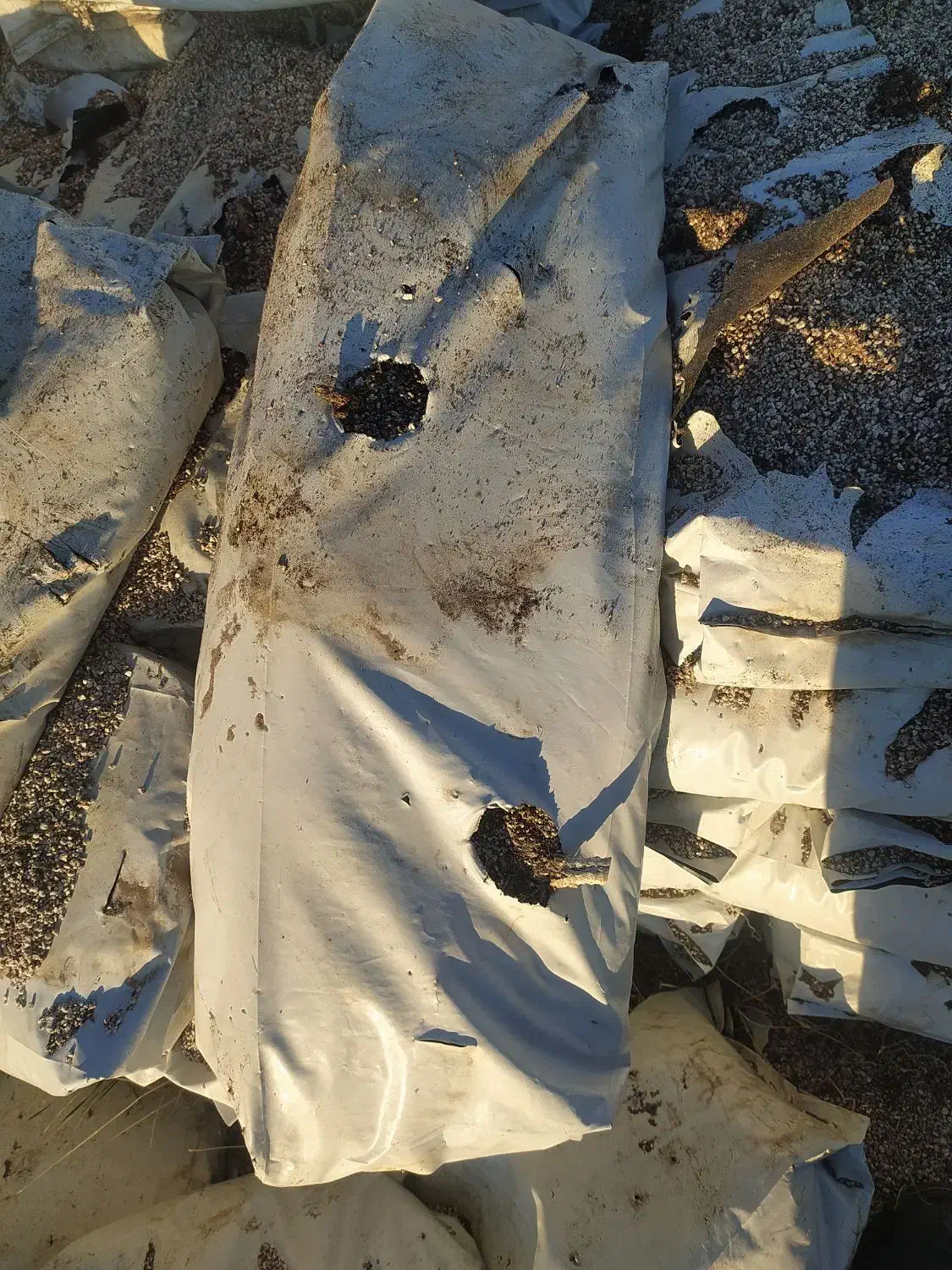 بستر مخلوط کوکوپیت و پرلیت|حراج|اهر, |دیوار