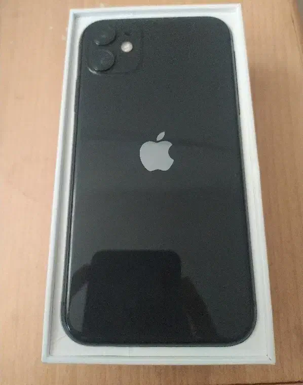 iphone 11|موبایل|رشت, باهنر|دیوار