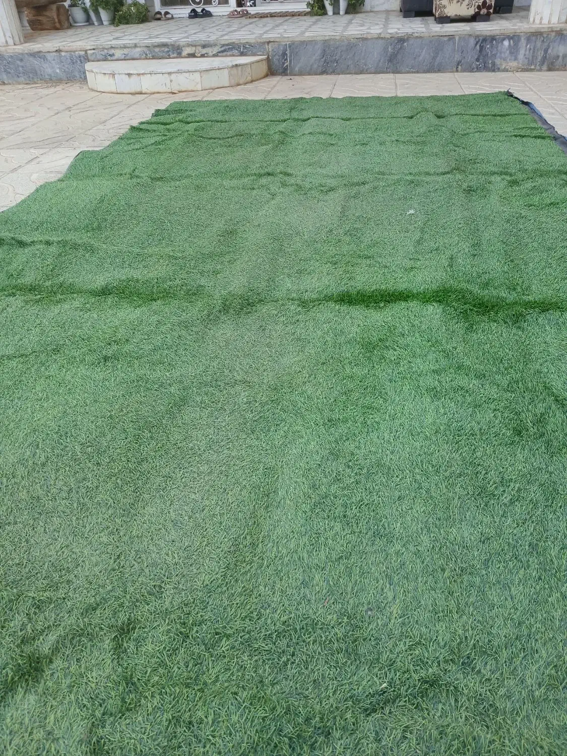 چمن مصنوعی|گل مصنوعی|آبیک, |دیوار