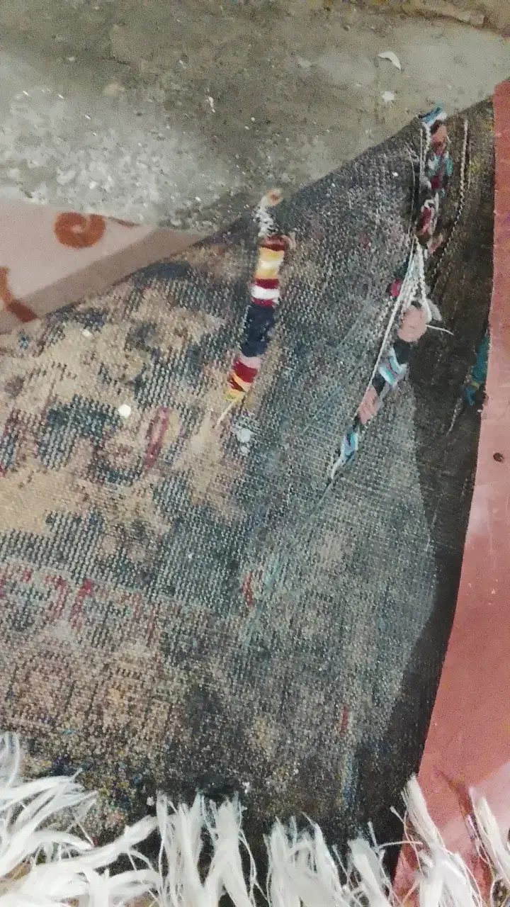 فرش|فرش|مشهد, شهرک شهید باهنر|دیوار