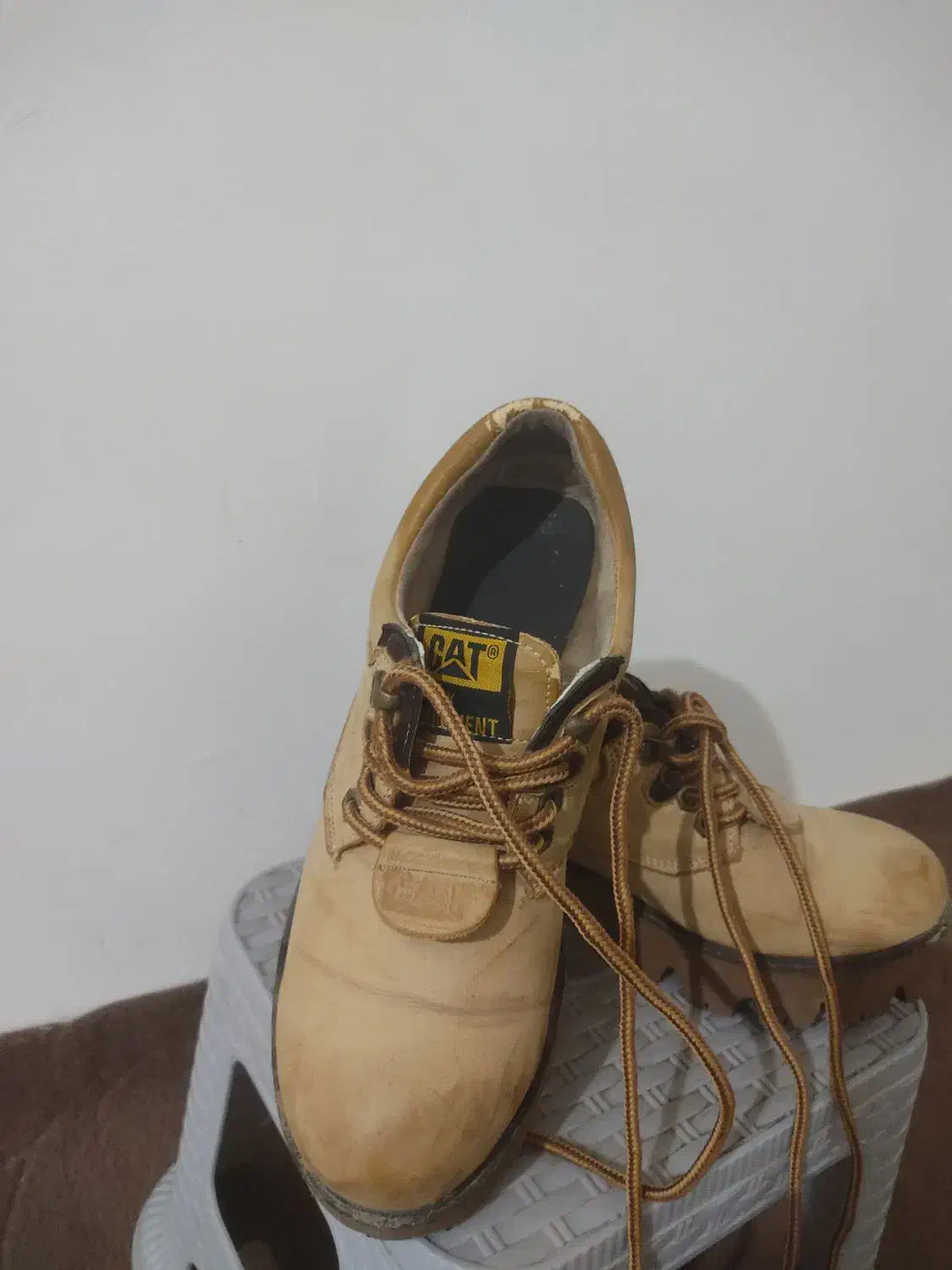 کتونی چرم|کیف، کفش، کمربند|مینودشت, |دیوار