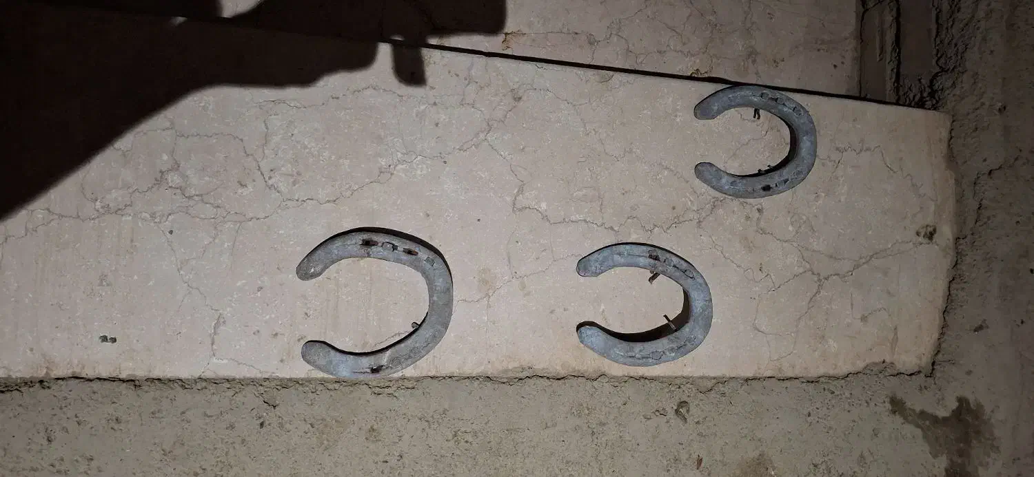 نعل اسب|کلکسیون اشیاء عتیقه|صفادشت, |دیوار