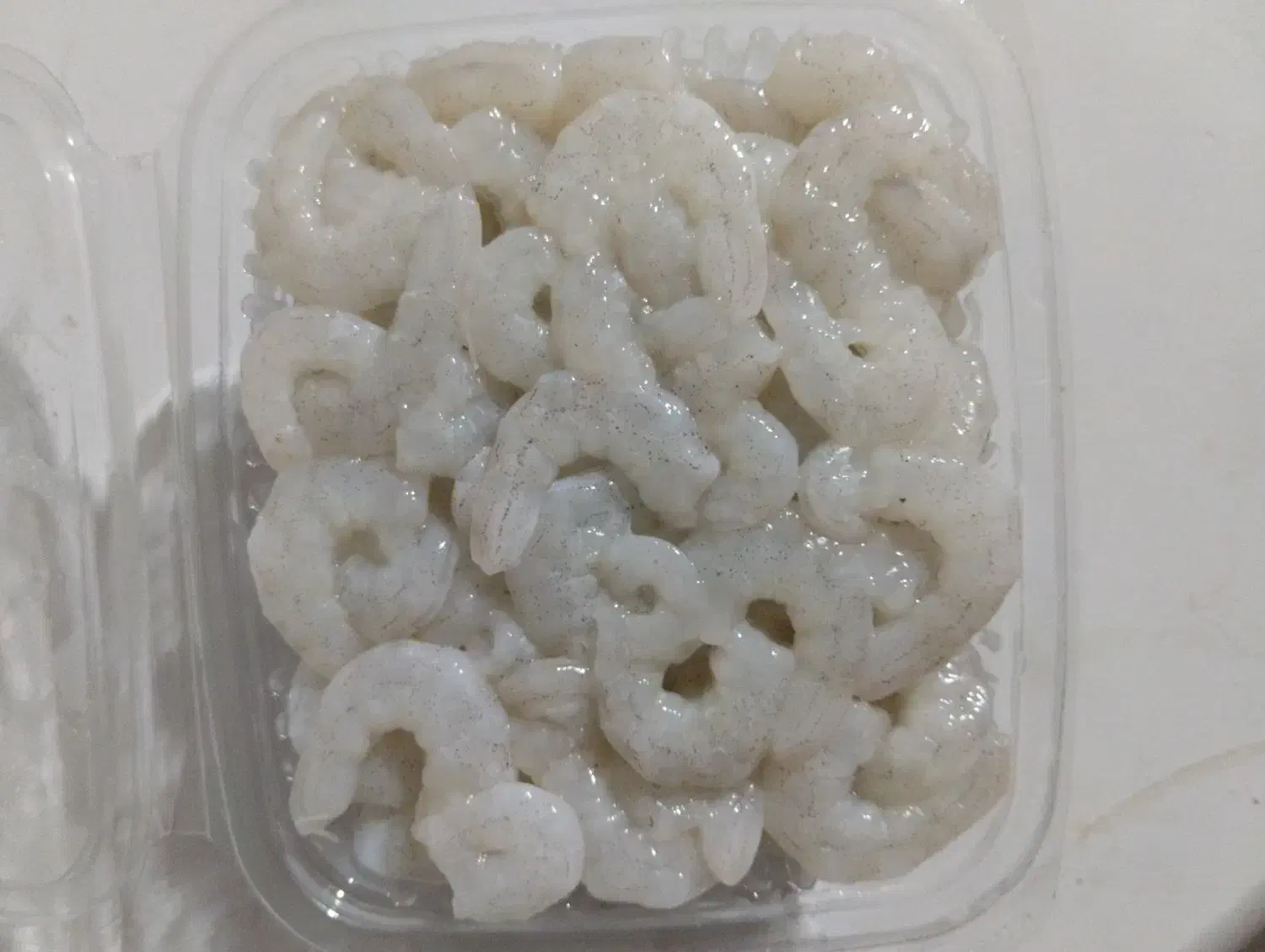 میگو سرتیز جنگل|ماهی|قشم, |دیوار