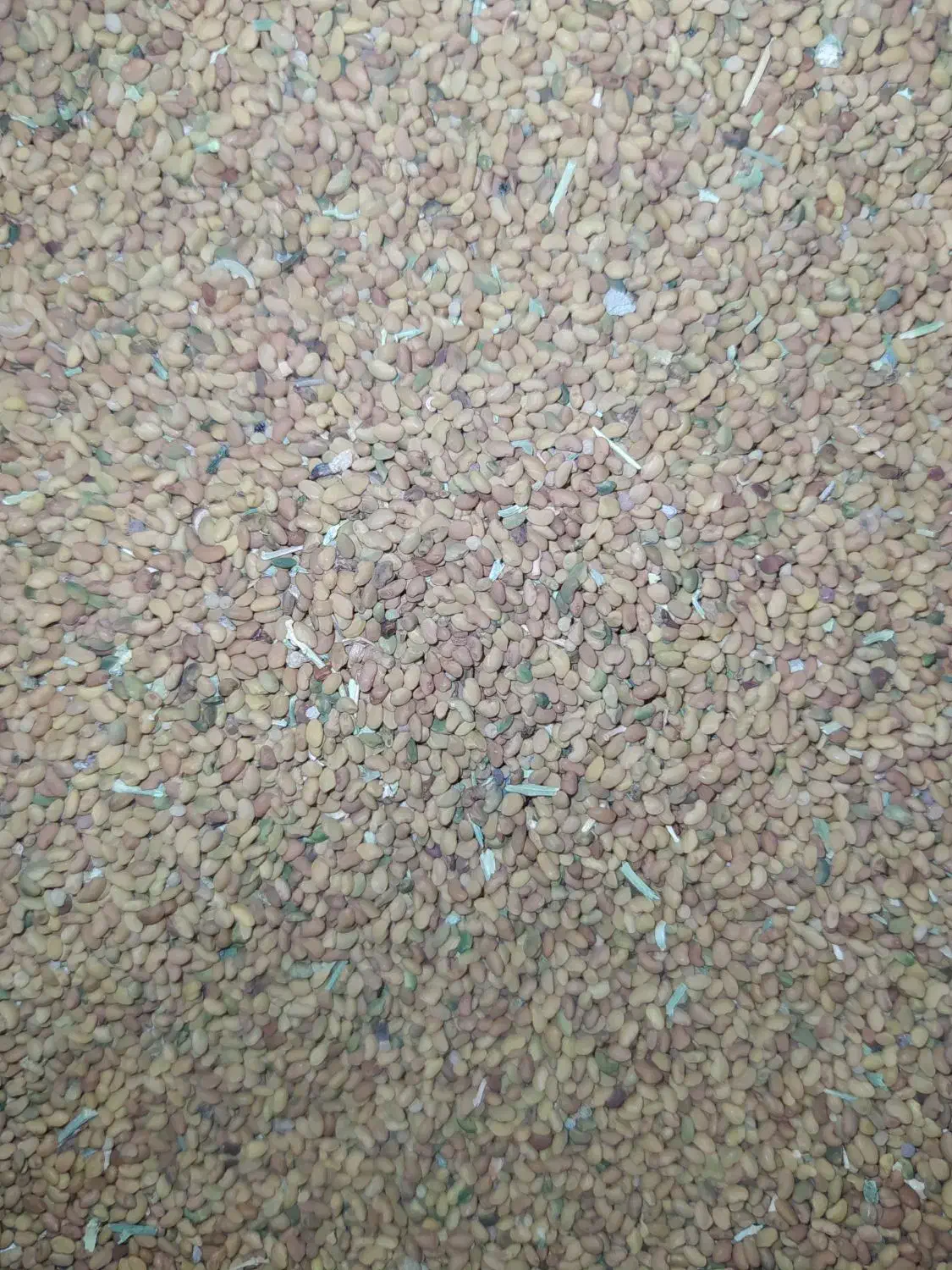 تخم یونجه...|حیوانات مزرعه|کرباسک, |دیوار