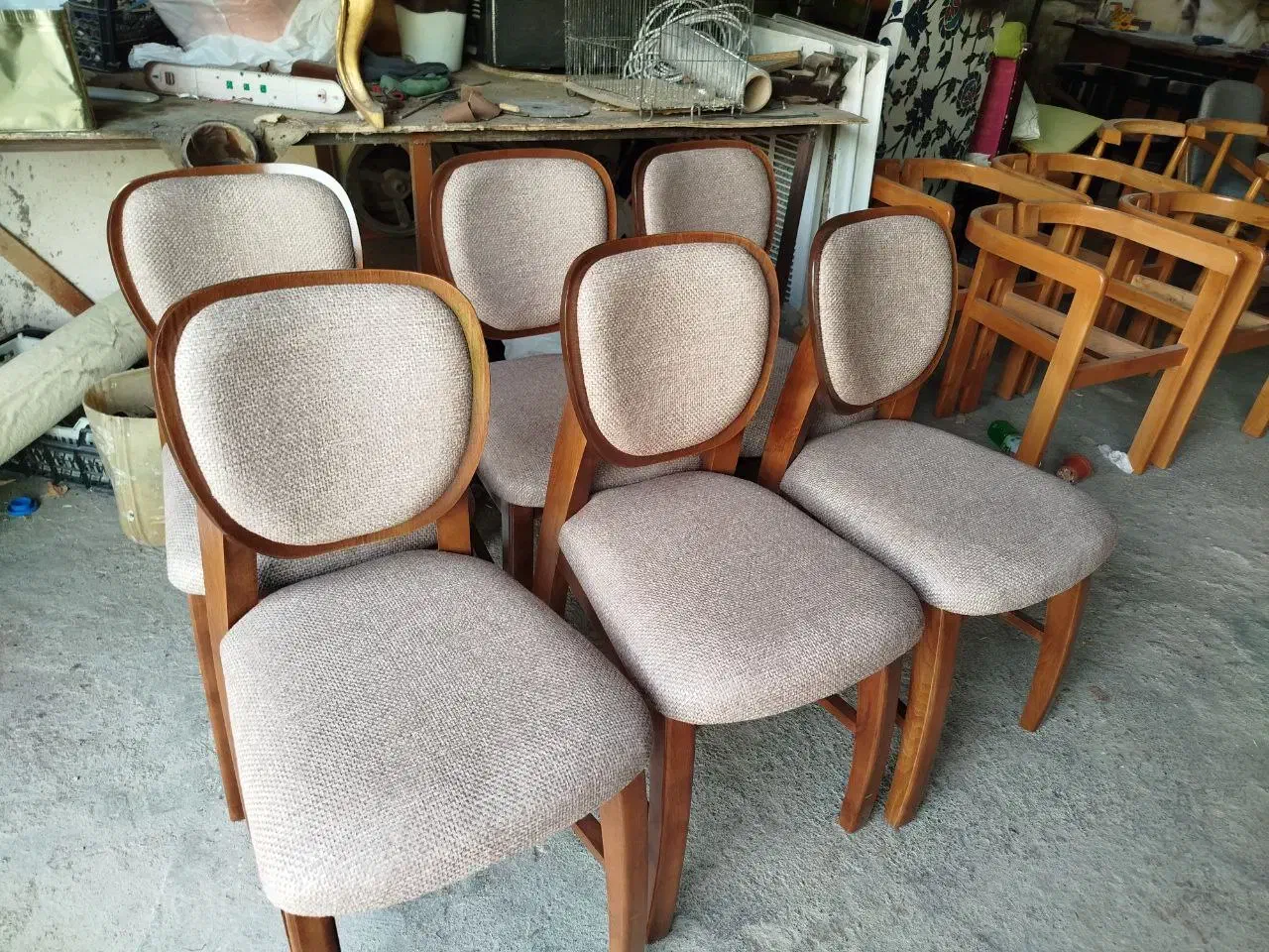 انواع میز غذا خوری|میز و صندلی غذاخوری|شاندیز, |دیوار