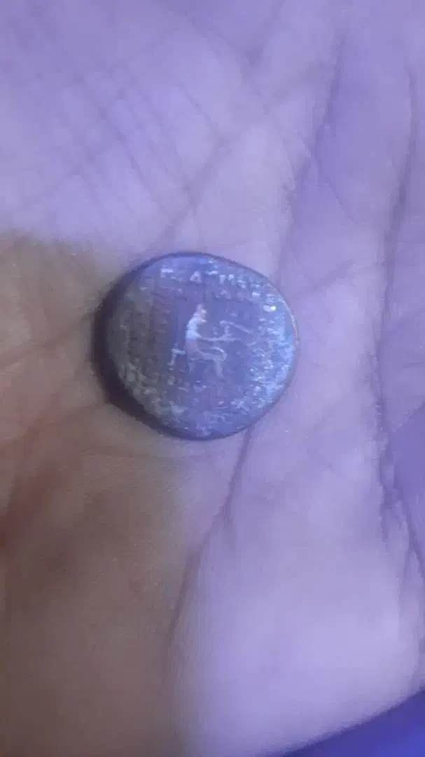 سکه عتیقه|کلکسیون اشیاء عتیقه|زاهدان, |دیوار