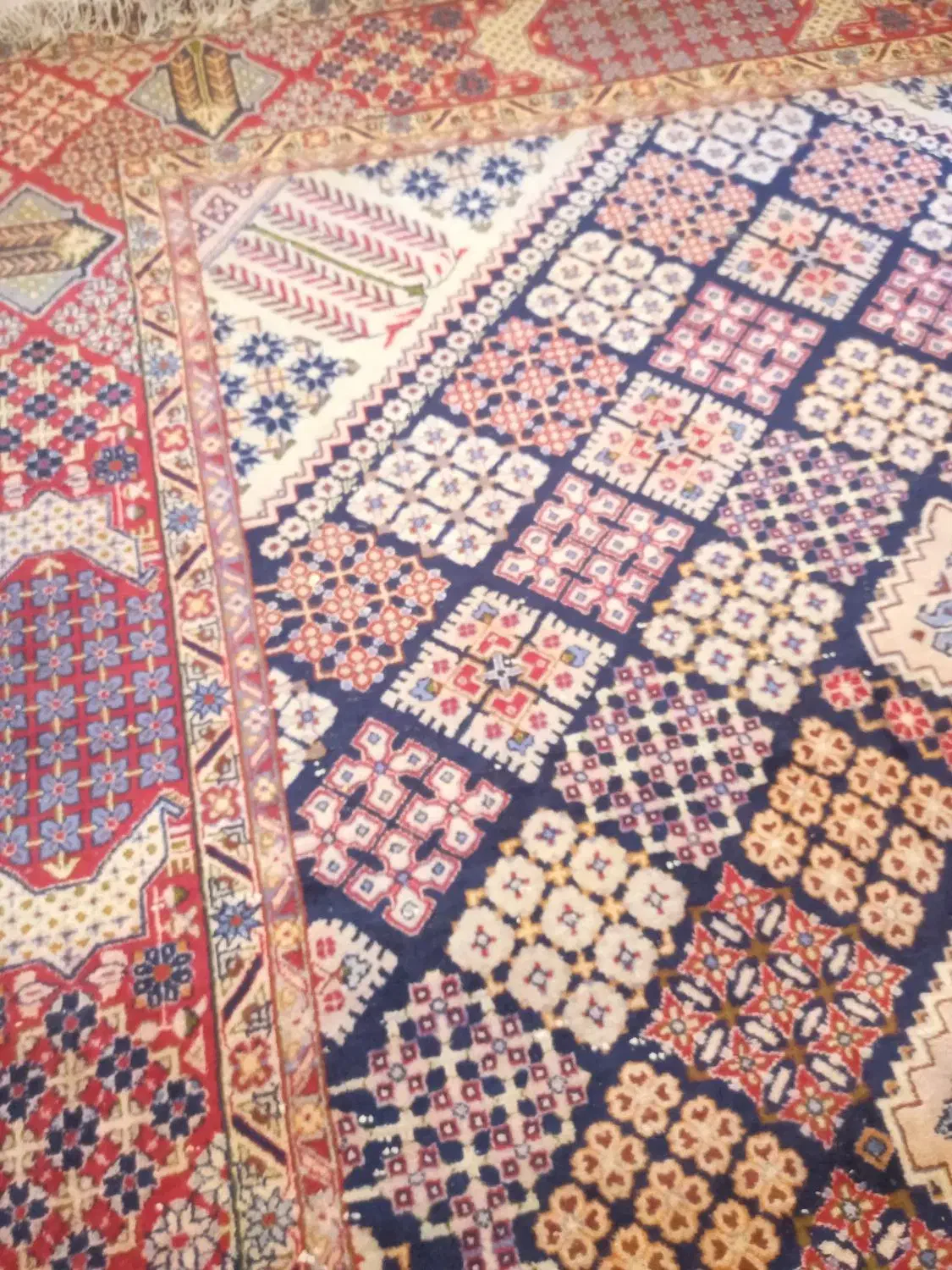 قالی 12 متری دست بافت|فرش|شیراز, فرهنگ شهر|دیوار