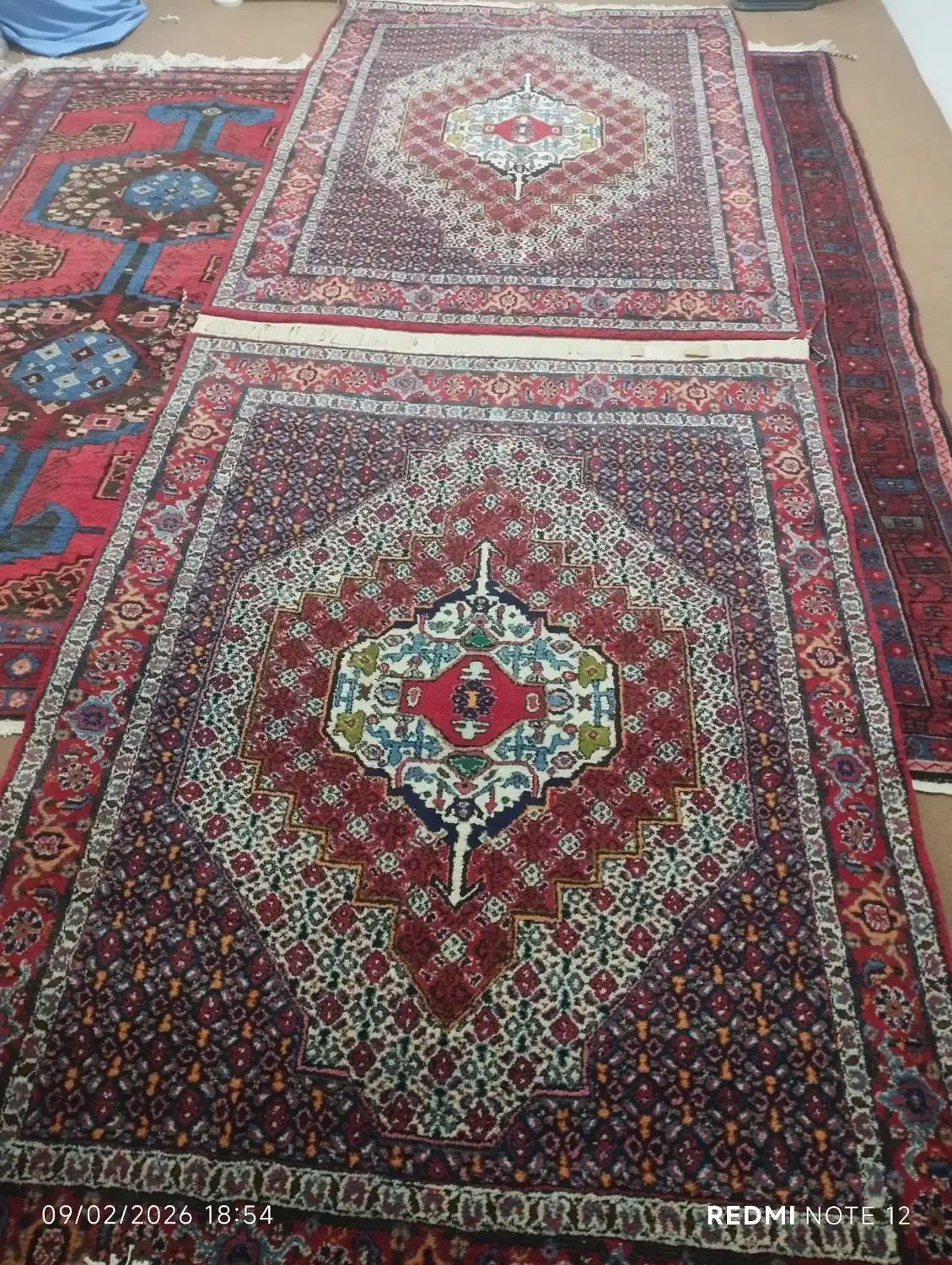 فرش دست بافت|فرش|سنندج, |دیوار