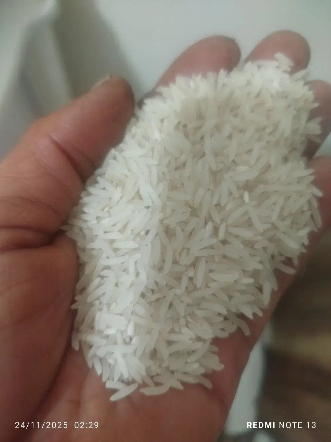 برنج فجر سوزنی|خوردنی و آشامیدنی|تهران, بازار|دیوار