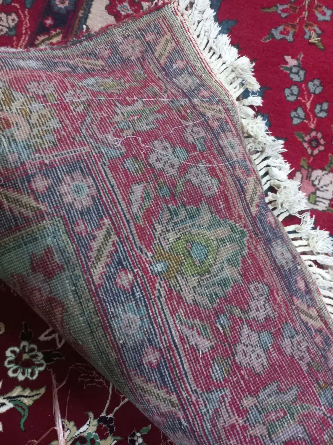 فرش دست باف طبیعی|فرش|اردبیل, |دیوار