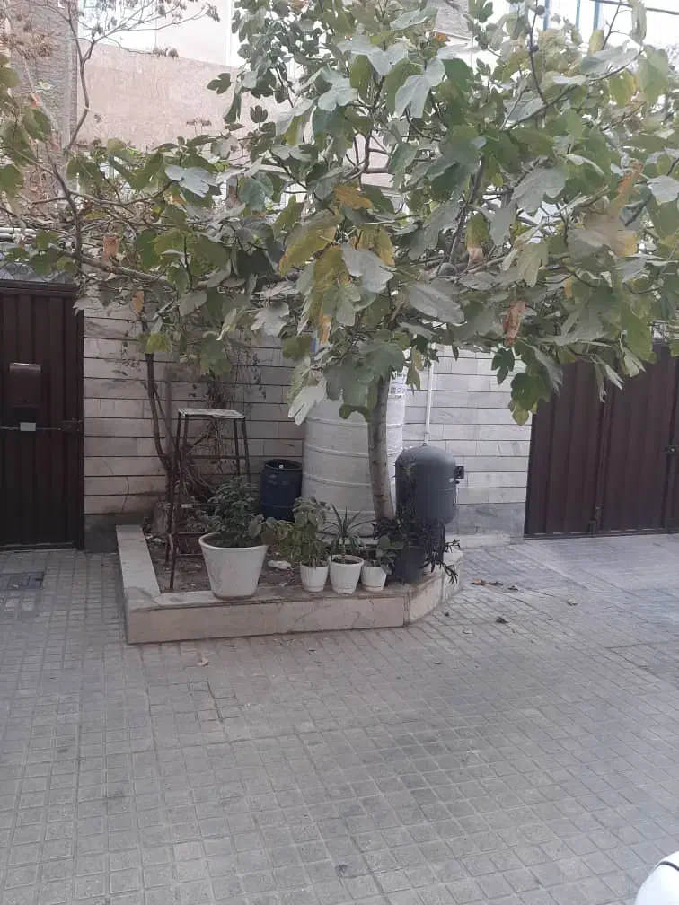 ۴۵ متر یک خواب زیر همکف/ مخصوص زوج|اجارهٔ آپارتمان|تهران, مشیریه|دیوار