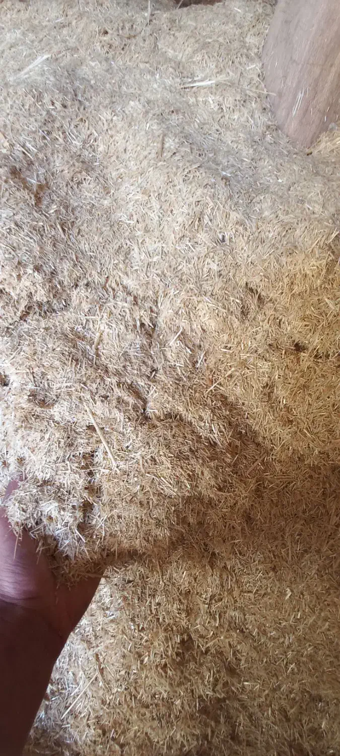 فروش کاه|خدمات باغبانی و درختکاری|شاهیوند, |دیوار