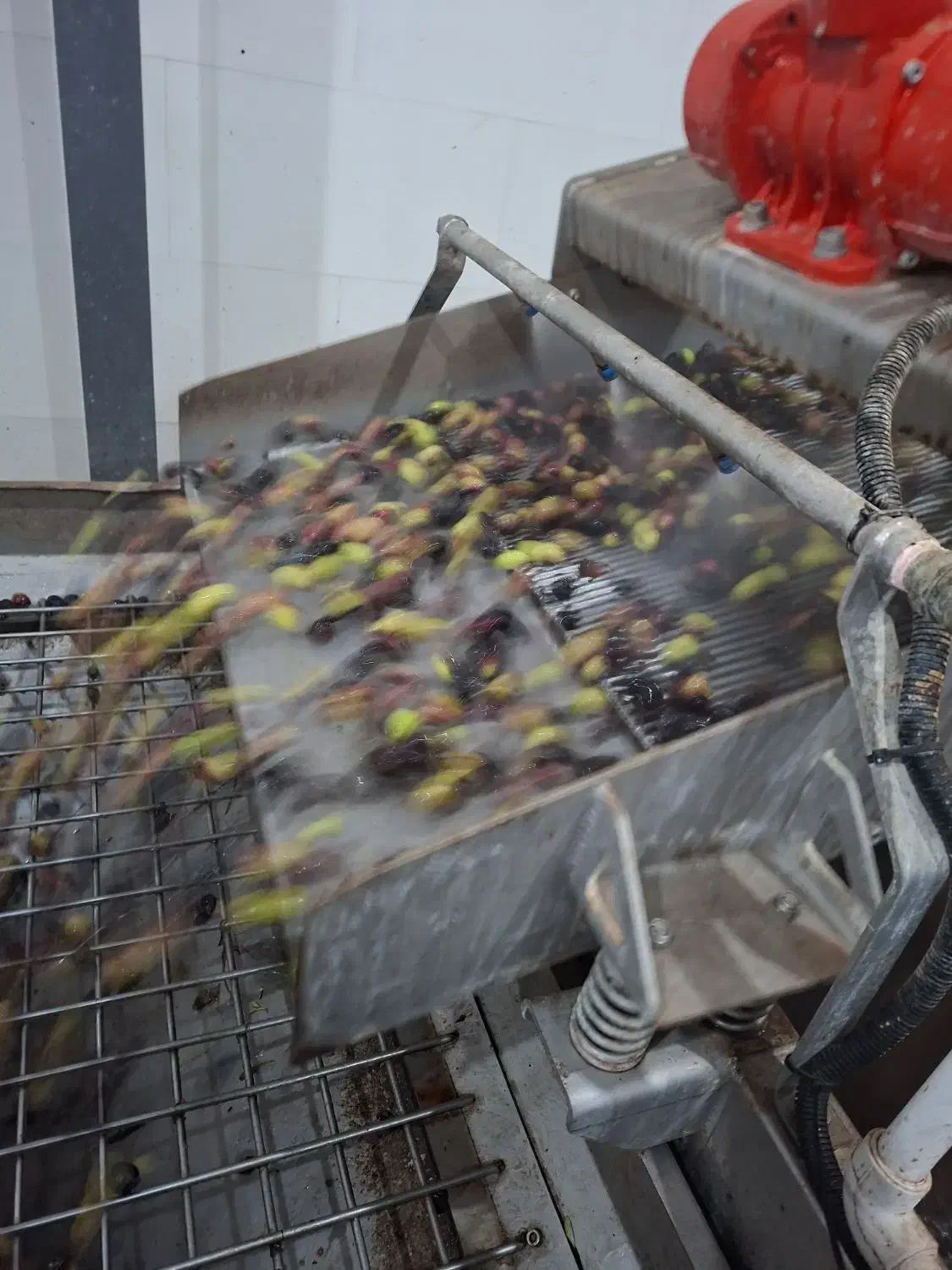 روغن زیتون فرابکر آربیکن|خوردنی و آشامیدنی|زاهدان, |دیوار