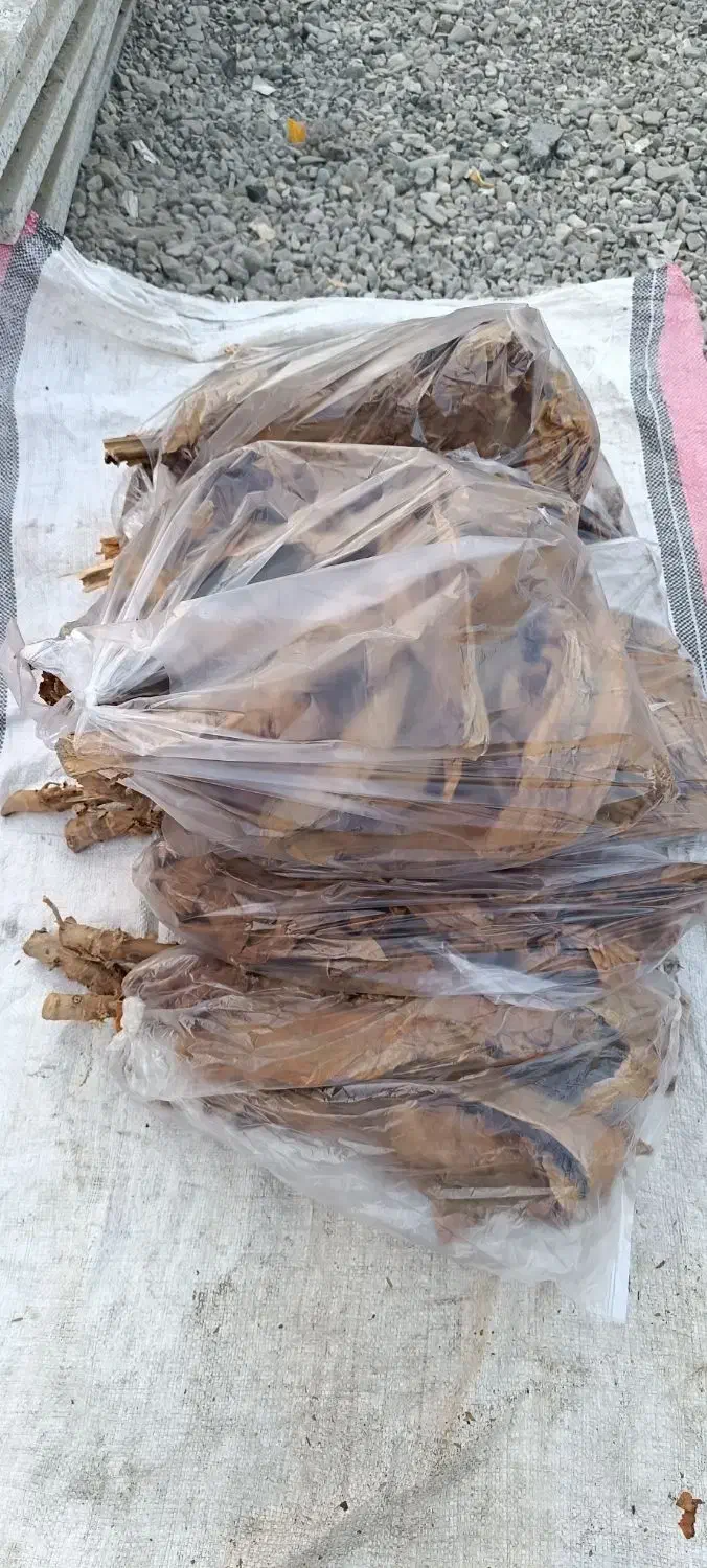 تمبک|کلکسیون و سرگرمی|میناب, |دیوار