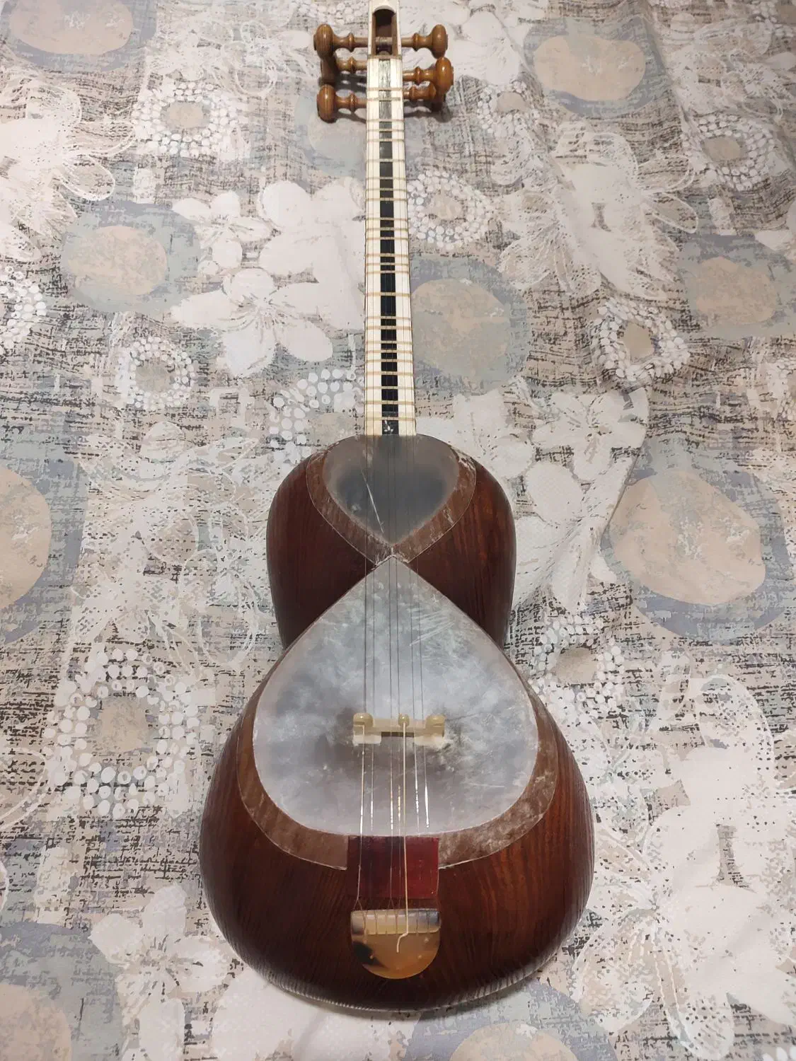 تار فرامرز شکرخواه|سازهای سنتی|تهران, سازمان آب|دیوار