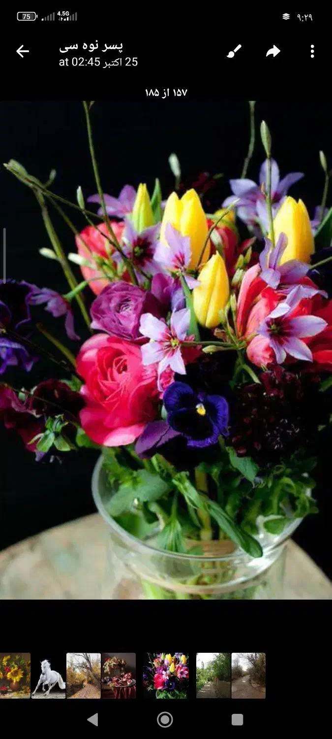 آموزش تخصصی رنگ روغن|خدمات آموزشی|بندر گناوه, |دیوار