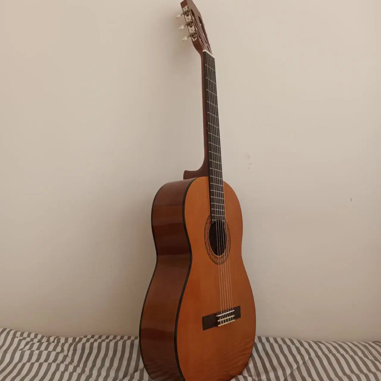 گیتار نو یاماها|گیتار، بیس، امپلیفایر|گلوگاه, |دیوار