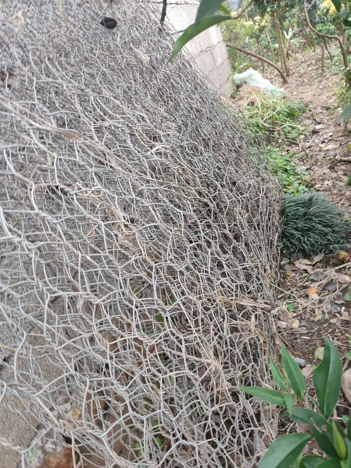 فنس گاوین درجه یک|مصالح و تجهیزات ساختمان|چابکسر, |دیوار