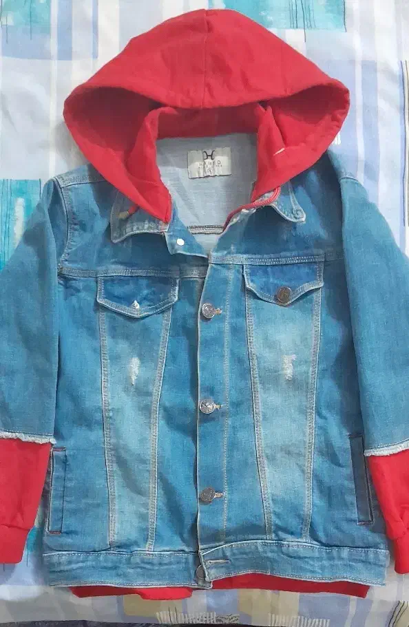 کاپشن لی|لباس|تربتحیدریه, باغ سلطانی|دیوار