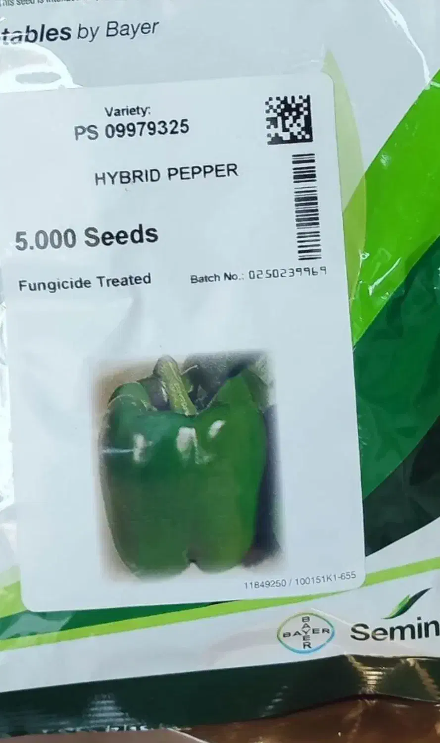 فروش وتامین بذر فلفل دلمه ای وغیره|خدمات باغبانی و درختکاری|شاهینشهر, حافظ جنوبی|دیوار