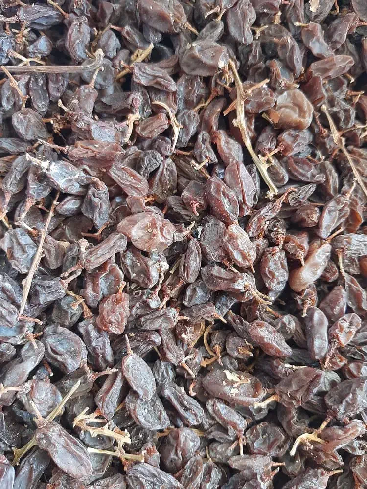 کشمش سرکه ای|خوردنی و آشامیدنی|ماهدشت, |دیوار