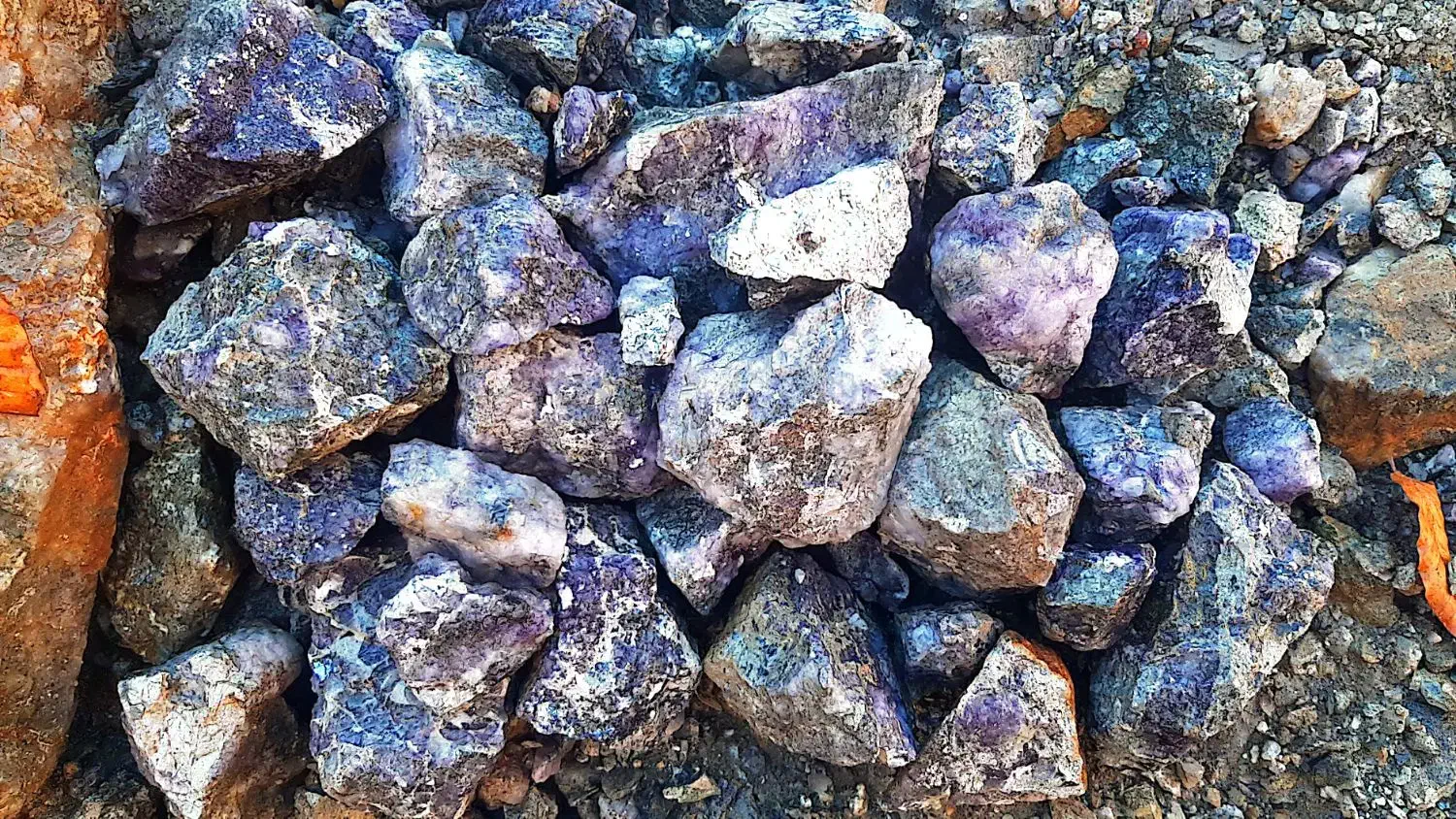 فروش فلورین|خدمات پیشه و مهارت|تهران, زرگنده|دیوار