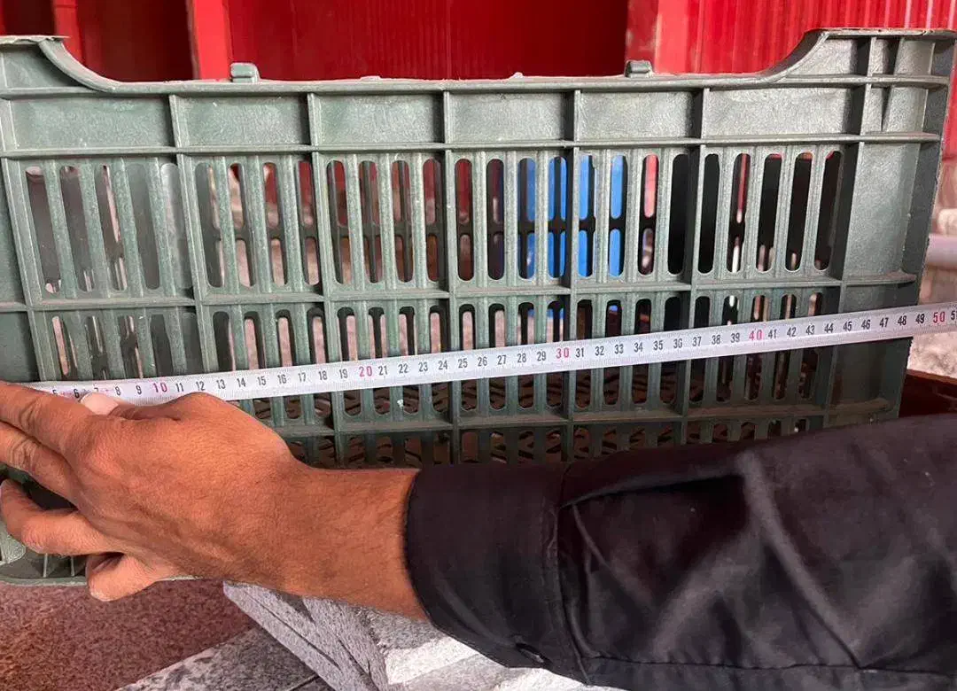 فروش سبد میوه در حد نو|فروشگاه و مغازه|بم, |دیوار