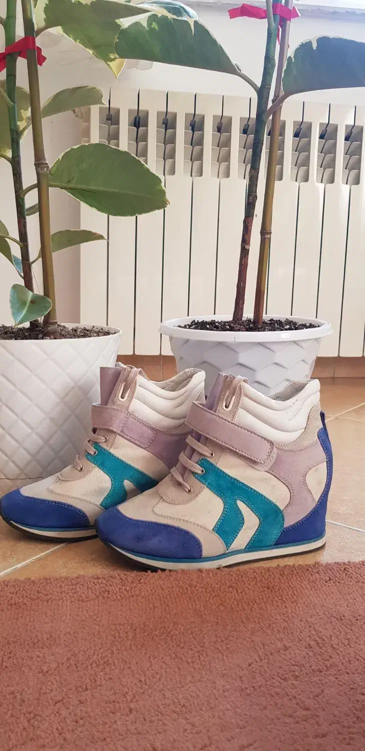 کتانی سایز ۳۶ خارجی|کیف، کفش، کمربند|رشت, جهاد|دیوار