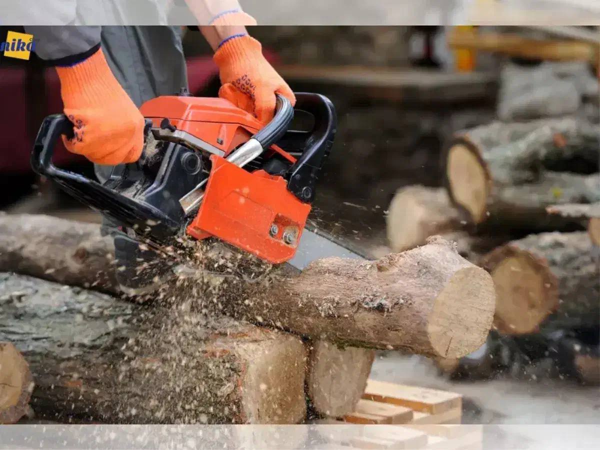 برش انواع درخت های مزاحم|خدمات باغبانی و درختکاری|کهنوج, |دیوار