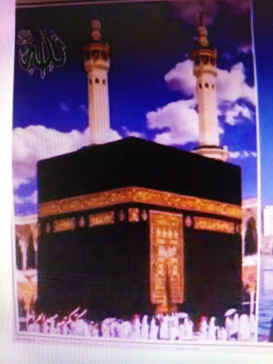 فروش فیش تمتع|حراج|بجنورد, |دیوار