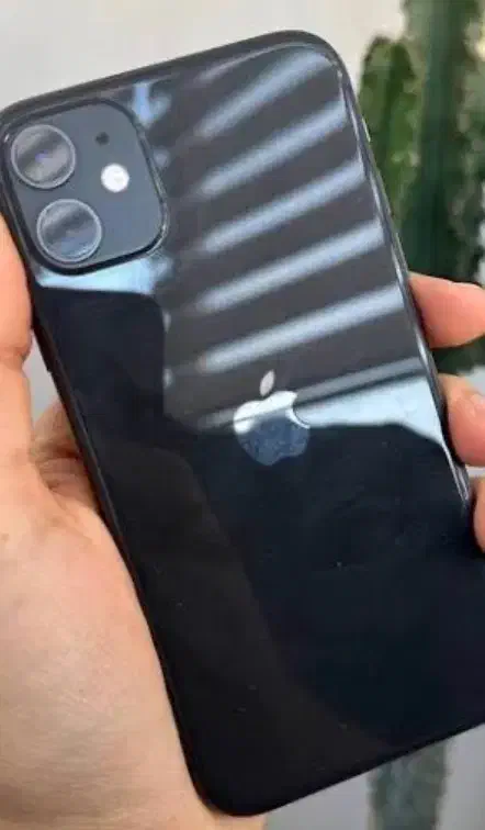 Apple 11|موبایل|سیرجان, |دیوار